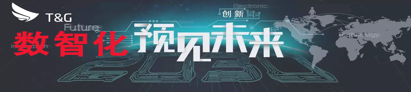 1610526397467651.png 数智化.png